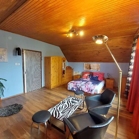 公寓 In - Balaton 43964 凯斯特海伊